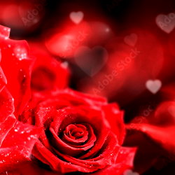 KathyForever18 photo