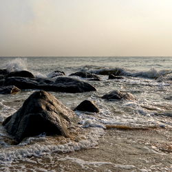 bawdy_eclectic photo