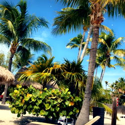 Blondie - Sultry & Entertaining OnlyFans Profile