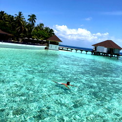 𝘧𝘳𝘦𝘦💦𝘷𝘪𝘥𝘦𝘰𝘴 photo