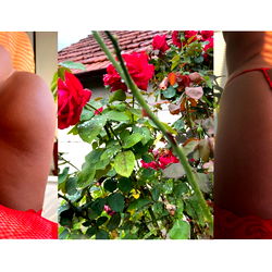 Angel 🤍 - Passionate and Artistic Model