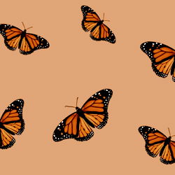 Stina's Exclusive OnlyFans Catalogue