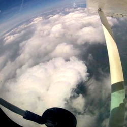 Wolfy_69 - The Top OnlyFans Profile from Oregon