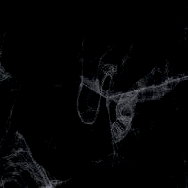 🕷 photo