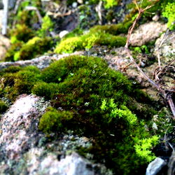 Bundy 🔥 - Colombia's Top OnlyFans Model