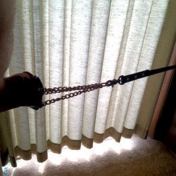 Silverider40 photo