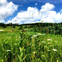 frog💘🏳️‍⚧️ photo