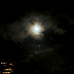 Ty - United States New York Sensation