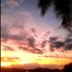 GenArt CR ❤🇨🇷🐷 photo