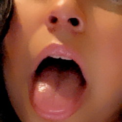 ShortStack Dulce photo