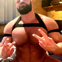 Macho Bull photo