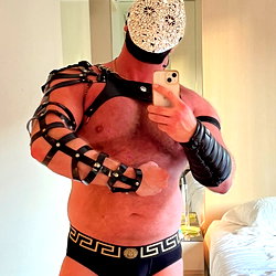 Macho Bull photo