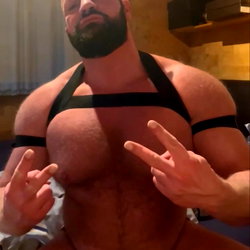 Macho Bull photo