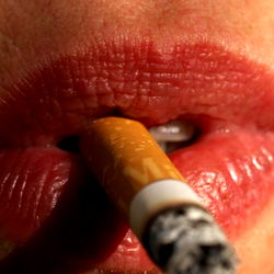 Roxana Marlboro Official: The Art of Smoking Performance