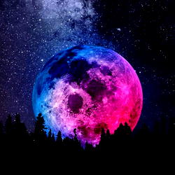 Gigi photo