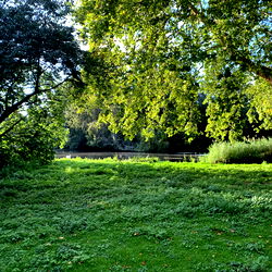 Griffin Barrows - Deepthroating Master