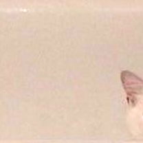 Baylee 🍄 - Striking Portrait of a Captivating Model