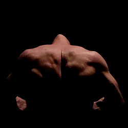 Austin Wilde photo