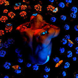 Austin Wilde photo