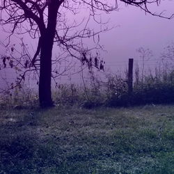 hotfallingdevil: The Romanian Art Model's Paradise on OnlyFans