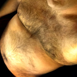 Anthony Broiler photo