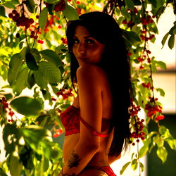 Veganessa photo