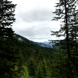 MN206 photo