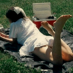 Daisy ˚❀༉‧ photo