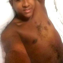 Zimmermanpanamenian photo