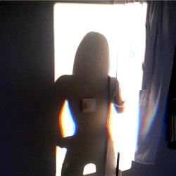 Honey bunny photo