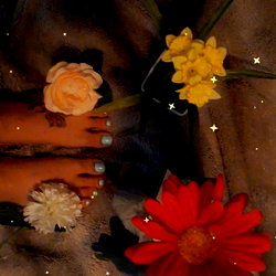 Twinkletoes photo