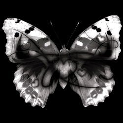 Mamas: Passionate Thick MILF from Texas - A Verified Fan Experience