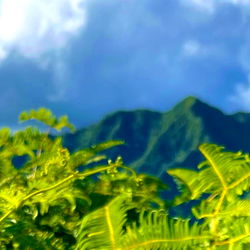 Mila Loves - Sensual BBW Model