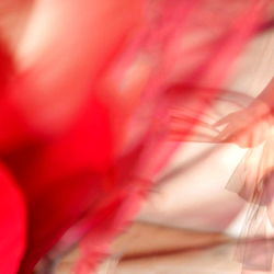 Poly Luna 🎻  prof cellist photo