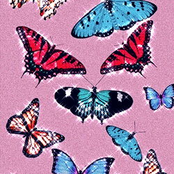 Zoe Evans - A Stunning Model on OnlyFans