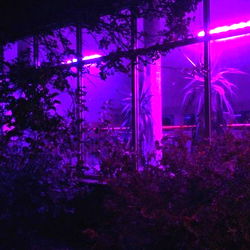 Scarlet Angel's Exclusive World on OnlyFans - Unleashed, Uncensored