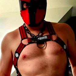 Anubis photo