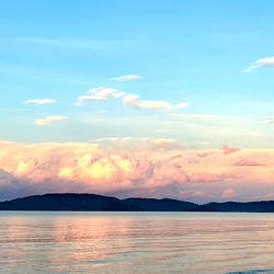 Lily Toast - Captivating Outdoor Enthusiast