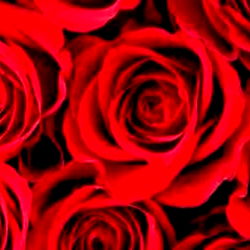 Kali Roses Free - Model Profile