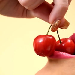 Alaska Swan photo