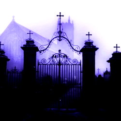 𝙱𝚞𝚋𝚒 photo