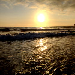 AZ DILF Nextdoor photo