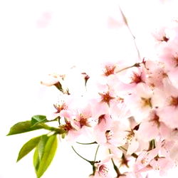 Katie Kat's Onlyfans Catalogue Profile