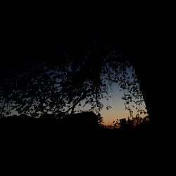 Clementine - The Ultimate Experience on OnlyFans