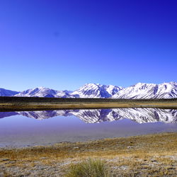 Explore the Artful and Sensual Meesh on OnlyFans