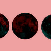 Carrie Sedgwick photo