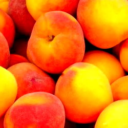 (๑˃̵ᴗ˂̵) ♡ photo