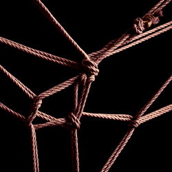 Jesse Flanagan photo