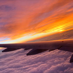 Bubbles💕 - A French Sensation from Clamecy, France