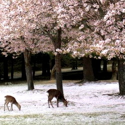 spirituals1ut ⋆ ˚。⋆ ✧‧. ˚ photo